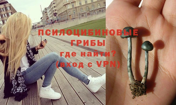 MDMA Premium VHQ Белокуриха